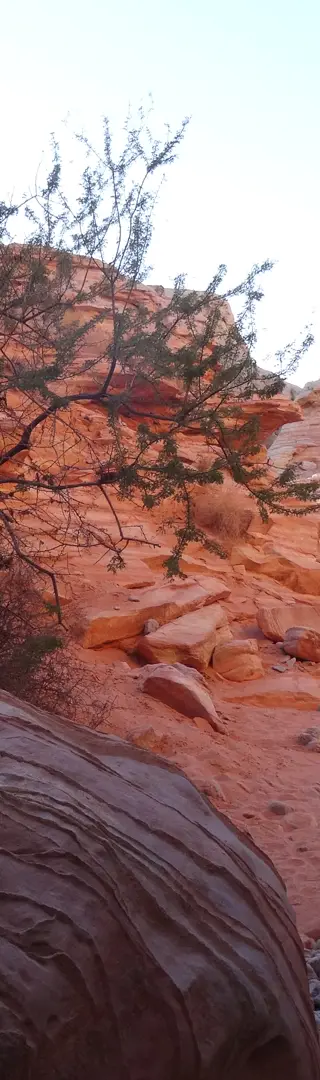 Wanderweg Valley of Fire